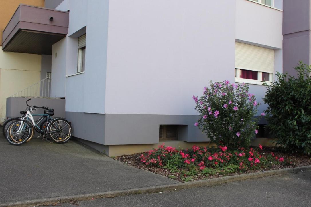 Studios Lora Rm 860 Saint-Louis  Exterior foto