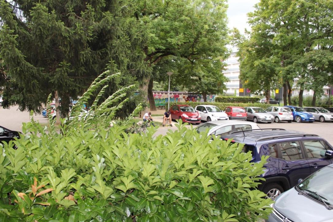 Studios Lora Rm 860 Saint-Louis  Exterior foto